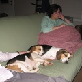 Amy and the Beagles2.JPG